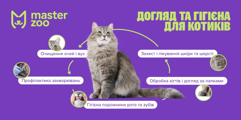 уход и гигиена для кошек   |  MasterZoo